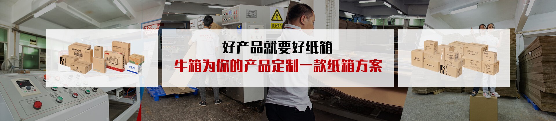 新闻资讯